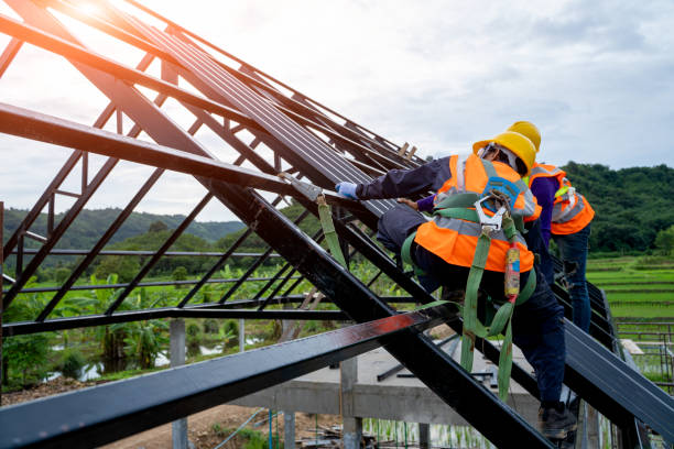 Best Gutter Installation and Roofing  in Glen Ellyn, IL