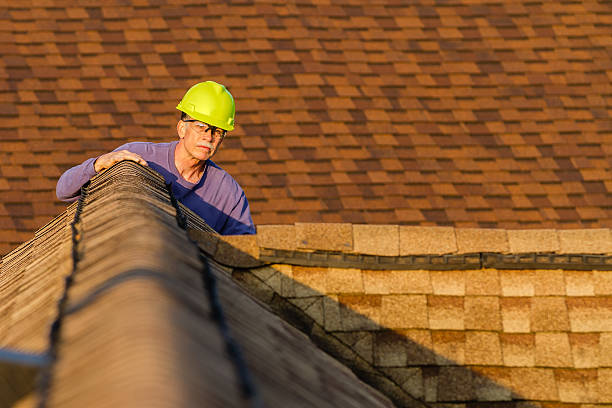 Best Roof Maintenance Services  in Glen Ellyn, IL