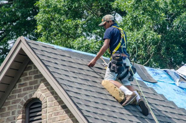 Quick and Trustworthy Emergency Roof Repair Services in Glen Ellyn, IL